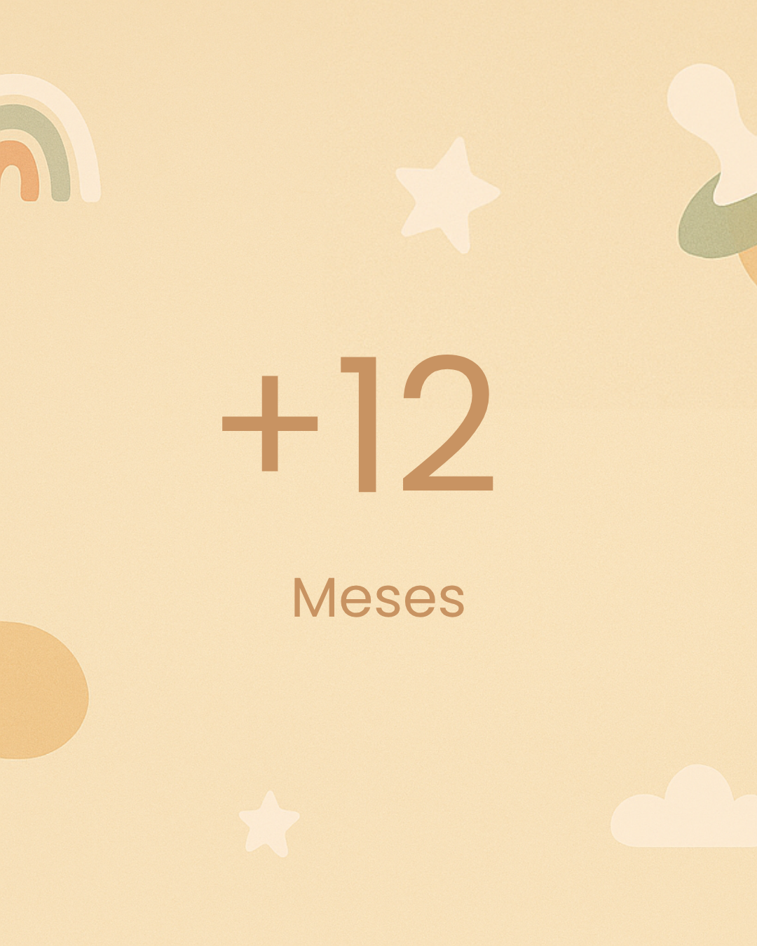 +12 Meses